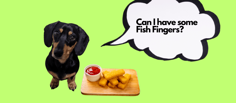 Are Dogs Allowed Fish Fingers