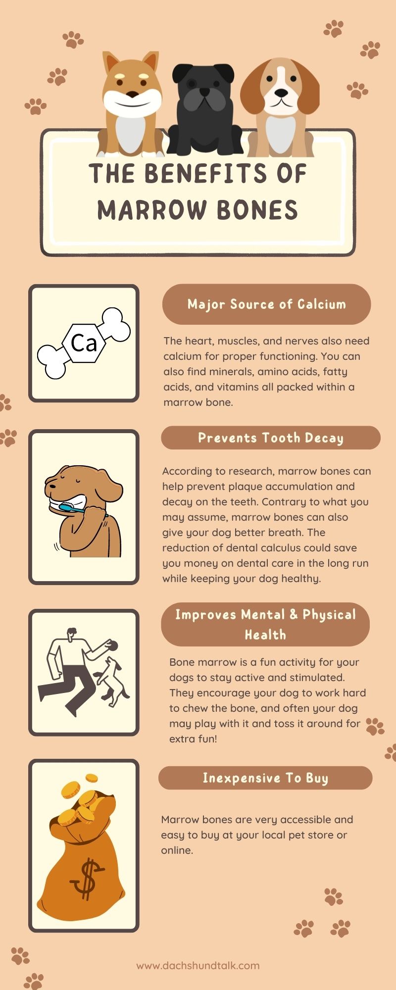 Benefits-of-Marrow-Bones-Infographic