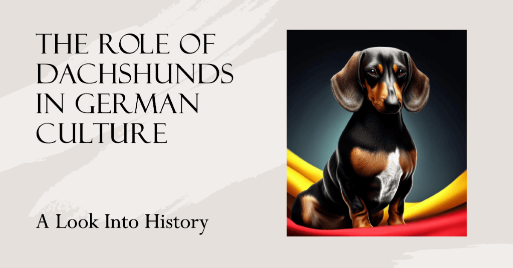 The Role Of Dachshunds In German Culture